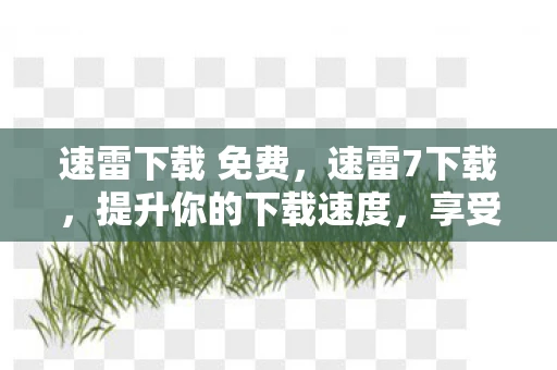 速雷下载 免费，速雷7下载，提升你的下载速度，享受极速体验