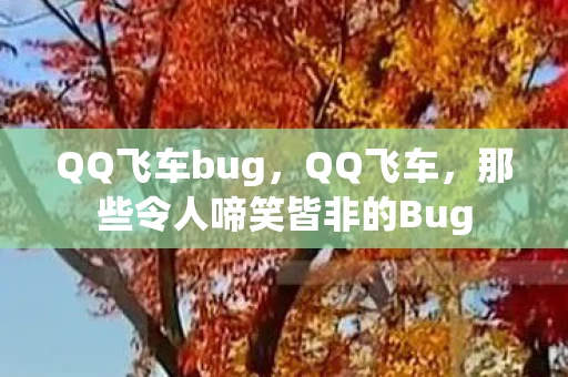 QQ飞车bug，QQ飞车，那些令人啼笑皆非的Bug