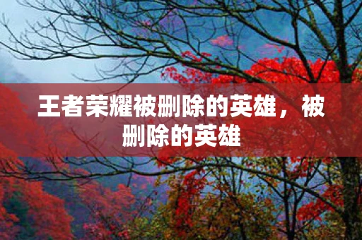 王者荣耀被删除的英雄，被删除的英雄