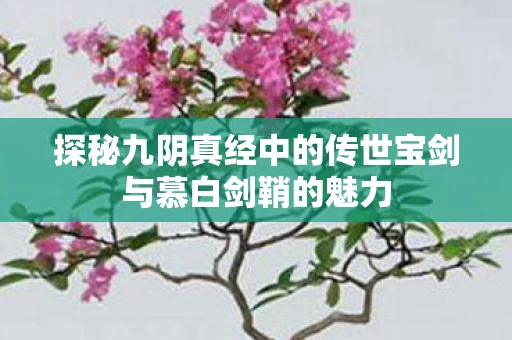 探秘九阴真经中的传世宝剑与慕白剑鞘的魅力 探秘九阴真经中的传世宝剑与慕白剑鞘的魅力