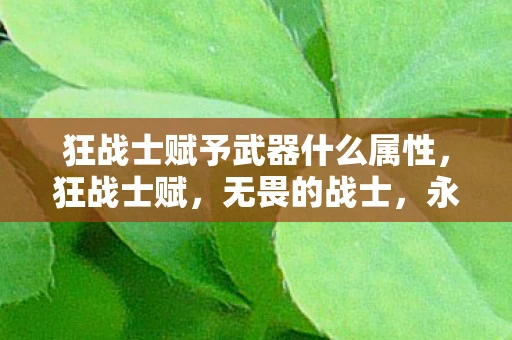 狂战士赋予武器什么属性，狂战士赋，无畏的战士，永恒的灵魂