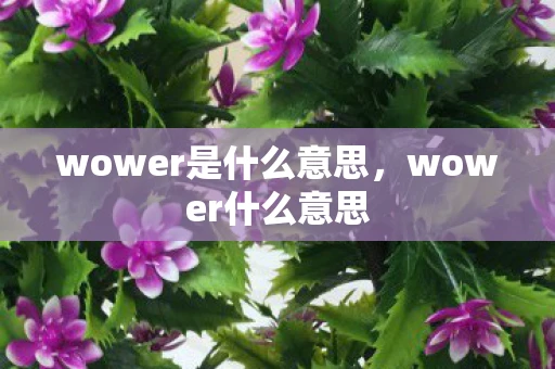 wower是什么意思，wower什么意思