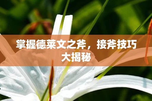 掌握德莱文之斧图片