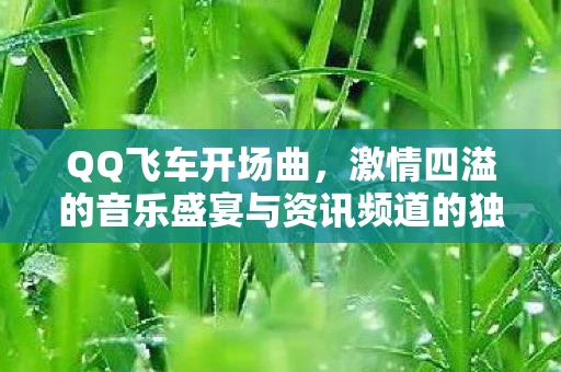 激情四溢的音乐盛宴与资讯频道的独特魅力图片