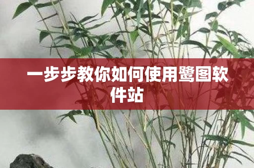 一步步教你如何使用鹭图软件站图片