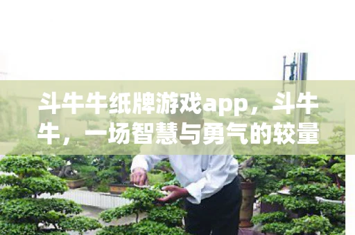 斗牛牛纸牌游戏app，斗牛牛，一场智慧与勇气的较量