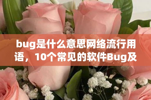 bug是什么意思网络流行用语，10个常见的软件Bug及其修复方法