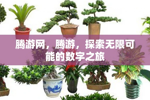 腾游网，腾游，探索无限可能的数字之旅