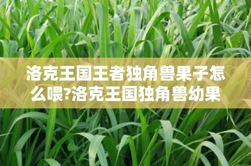 洛克王国王者独角兽果子怎么喂?洛克王国独角兽幼果的神奇用途