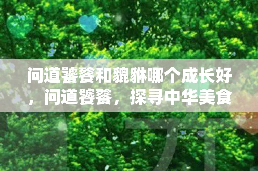 问道饕餮和貔貅哪个成长好，问道饕餮，探寻中华美食文化的神秘符号