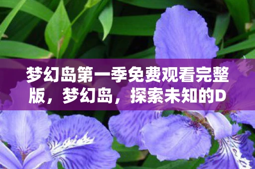 梦幻岛第一季免费观看完整版，梦幻岛，探索未知的DKP之旅