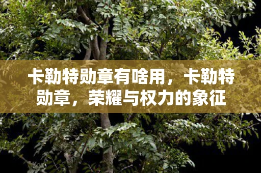 卡勒特勋章有啥用，卡勒特勋章，荣耀与权力的象征