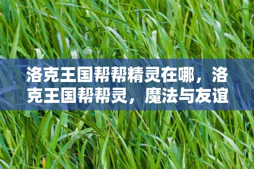 洛克王国帮帮精灵在哪，洛克王国帮帮灵，魔法与友谊的奇妙冒险