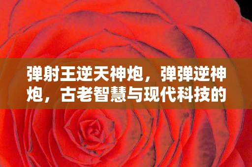 弹射王逆天神炮，弹弹逆神炮，古老智慧与现代科技的碰撞