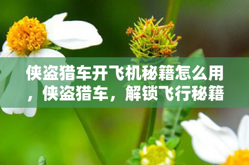 侠盗猎车开飞机秘籍怎么用，侠盗猎车，解锁飞行秘籍，畅游罪恶都市的蓝天