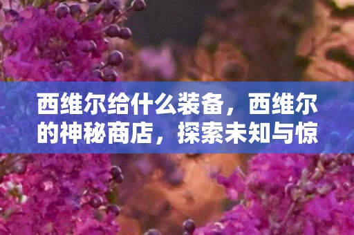 西维尔给什么装备，西维尔的神秘商店，探索未知与惊喜的奇幻之旅