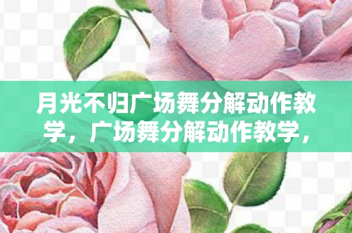 月光不归广场舞分解动作教学，广场舞分解动作教学，轻松掌握广场舞的每一个细节