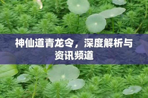 深度解析与资讯频道图片