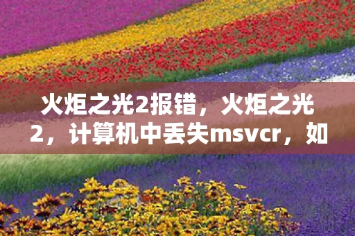 火炬之光2报错，火炬之光2，计算机中丢失msvcr，如何轻松解决？