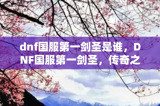 dnf国服第一剑圣是谁，DNF国服第一剑圣，传奇之路与不败神话