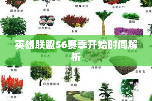 英雄联盟S6赛季开始时间解析图片