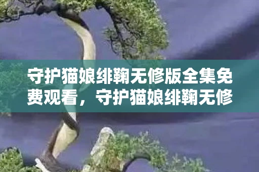 守护猫娘绯鞠无修版全集免费观看，守护猫娘绯鞠无修版，一场关于爱与守护的奇幻之旅