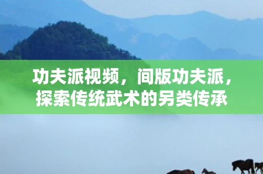 功夫派视频，间版功夫派，探索传统武术的另类传承