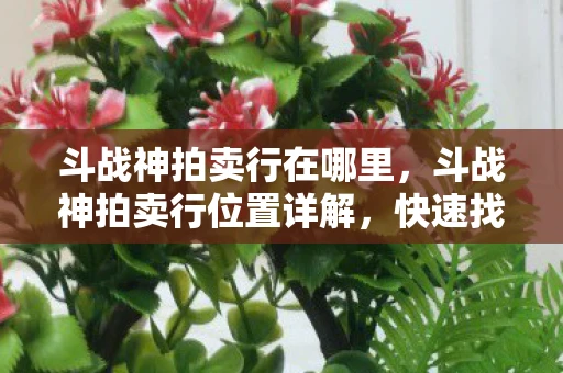 斗战神拍卖行在哪里，斗战神拍卖行位置详解，快速找到交易场所