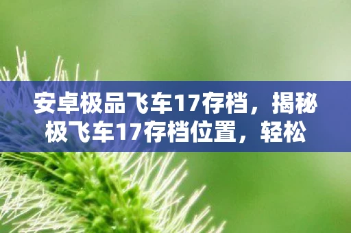 安卓极品飞车17存档，揭秘极飞车17存档位置，轻松管理你的游戏进度