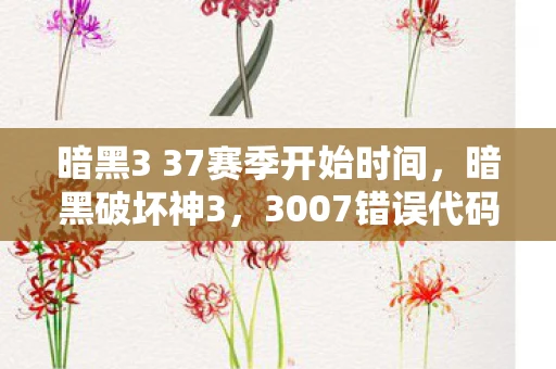 暗黑3 37赛季开始时间，暗黑破坏神3，3007错误代码解析与解决指南