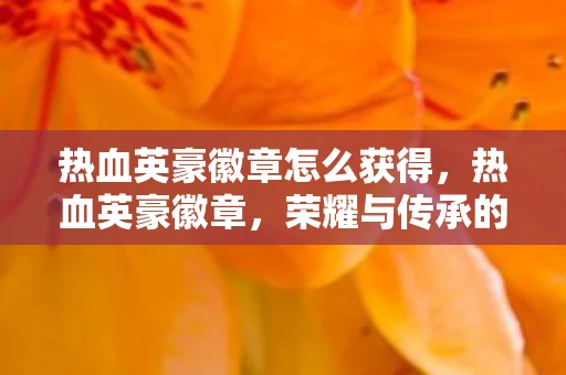 热血英豪徽章怎么获得，热血英豪徽章，荣耀与传承的见证