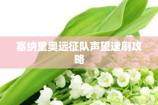 塞纳里奥远征队声望速刷攻略图片