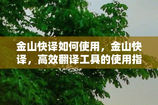 金山快译如何使用，金山快译，高效翻译工具的使用指南