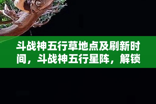 斗战神五行草地点及刷新时间，斗战神五行星阵，解锁宇宙深处的神秘力量