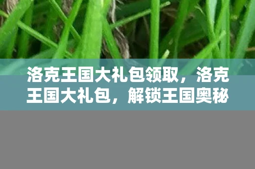 洛克王国大礼包领取，洛克王国大礼包，解锁王国奥秘，探索无限可能
