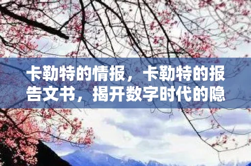 卡勒特的情报，卡勒特的报告文书，揭开数字时代的隐秘篇章