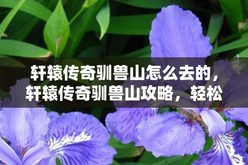 轩辕传奇驯兽山怎么去的，轩辕传奇驯兽山攻略，轻松抵达神秘之地