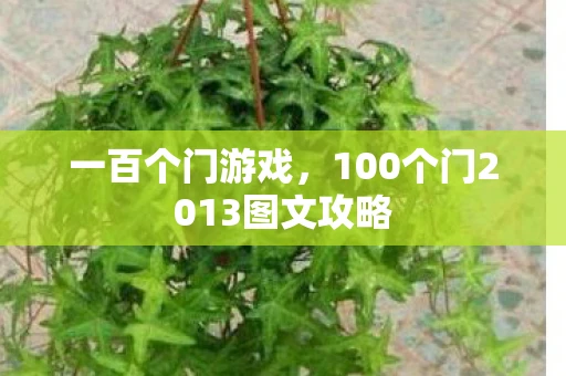 一百个门游戏，100个门2013图文攻略