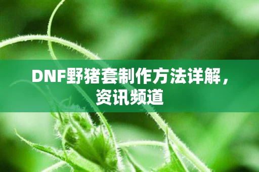 DNF野猪套制作方法详解图片