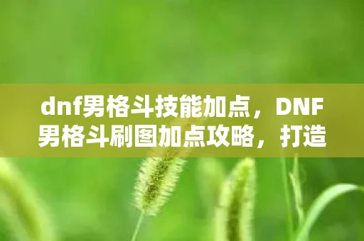 dnf男格斗技能加点，DNF男格斗刷图加点攻略，打造高效战斗力的关键