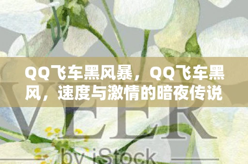 QQ飞车黑风暴，QQ飞车黑风，速度与激情的暗夜传说