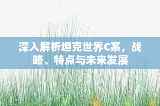深入解析坦克世界C系图片