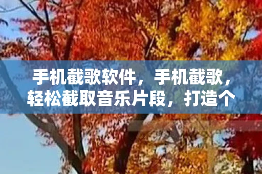 手机截歌软件，手机截歌，轻松截取音乐片段，打造个性化音乐体验