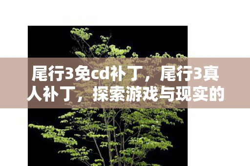 尾行3免cd补丁，尾行3真人补丁，探索游戏与现实的边界