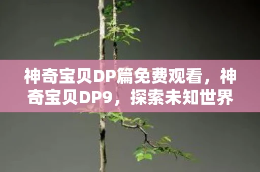 神奇宝贝DP篇免费观看，神奇宝贝DP9，探索未知世界的奇幻之旅