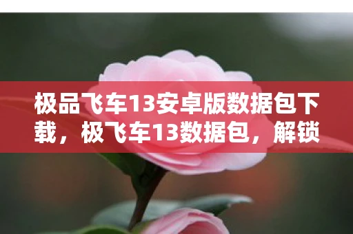 极品飞车13安卓版数据包下载，极飞车13数据包，解锁速度与激情的密钥