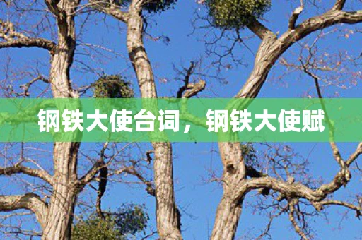 钢铁大使台词，钢铁大使赋