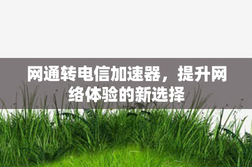 网通转电信加速器，提升网络体验的新选择