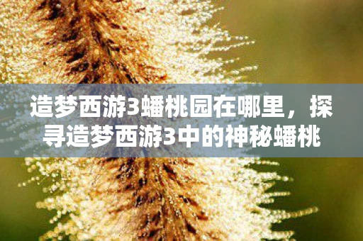 造梦西游3蟠桃园在哪里，探寻造梦西游3中的神秘蟠桃园