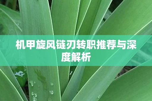 机甲旋风链刃转职推荐与深度解析图片